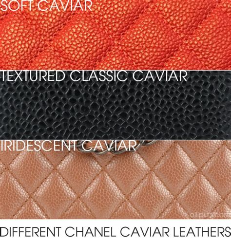 different types of chanel caviar|Chanel Caviar Leather Reference Guide .